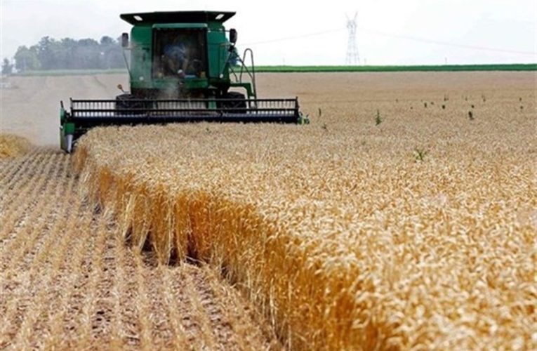 تشریح سیاست های جدید تامین غذا در جهان