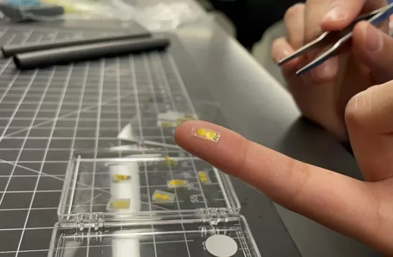 ساخت ایمپلنت کوچکی که می‌تواند سلامت عضو پیوندی را تحت نظر بگیرد