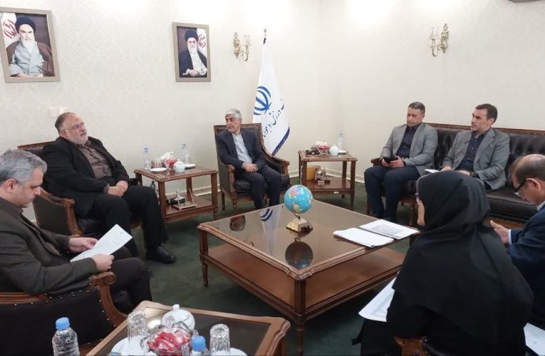 استاندار قزوین با وزیر ورزش و جوانان دیدار کرد