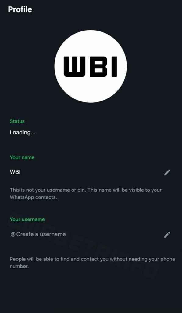 واتس‌اپ ساخت نام کاربری در نسخه وب را ممکن می‌کند