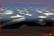 دریاچه ارومیه لیتیوم ندارد