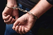 دستگیری سارقان تجهیزات دکل انتقال برق در چرداول