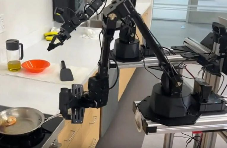 محققان ربات Mobile Aloha را برای انجام کارهای خانه ساختند + ویدیو