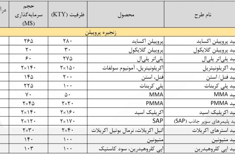 افزایش ۸.۵ میلیون تنی ظرفیت پتروشیمی و تکمیل زنجیره قیمت در دولت سیزدهم