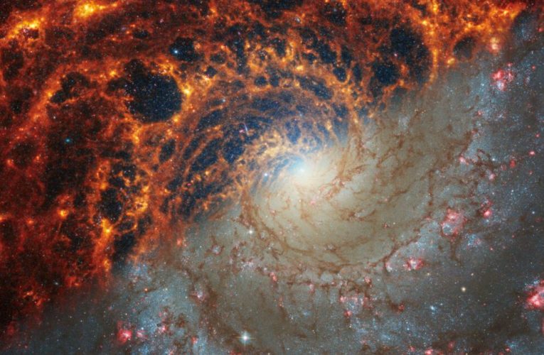 تصاویر خیره‌کننده‌ تلسکوپ جیمز وب از ۱۹ کهکشان مارپیچی + عکس