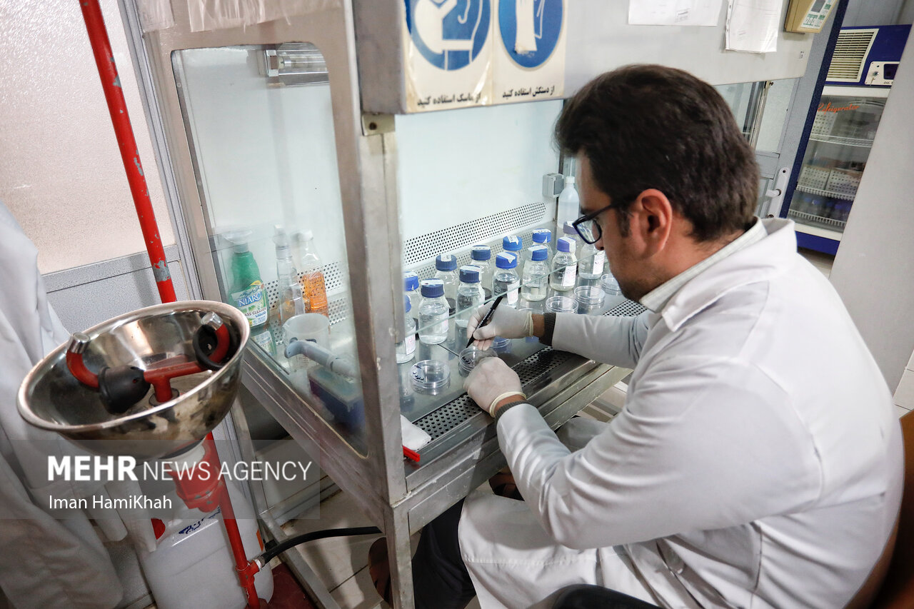 وضعیت تولید واکسن روتاویروس در انستیتو پاستور - خبرگزاری مهر | اخبار ایران و جهان