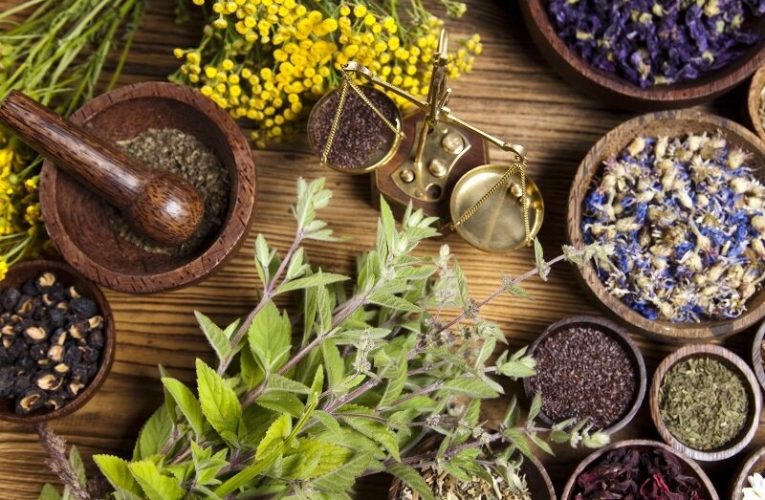 طب ایرانی پتانسیل بالایی در حوزه گردشگری دارد – تاشکن