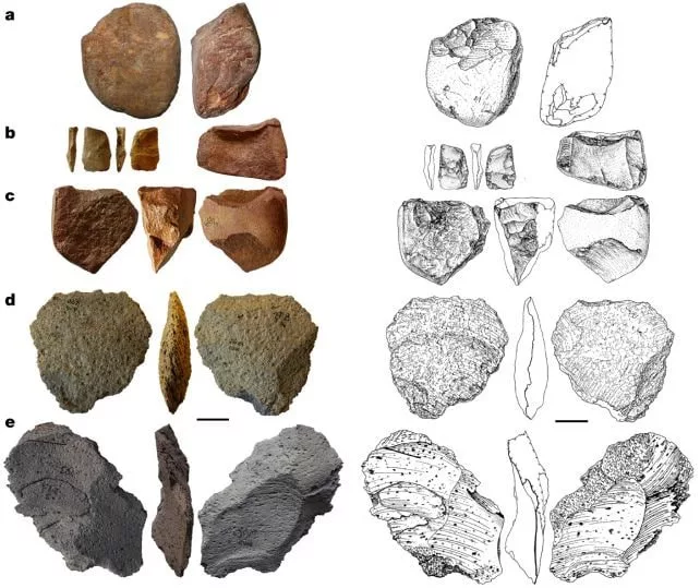 1710118371 328 باستان‌شناسان قدیمی‌ترین شواهد وجود انسان در اروپا را کشف کردند.webp