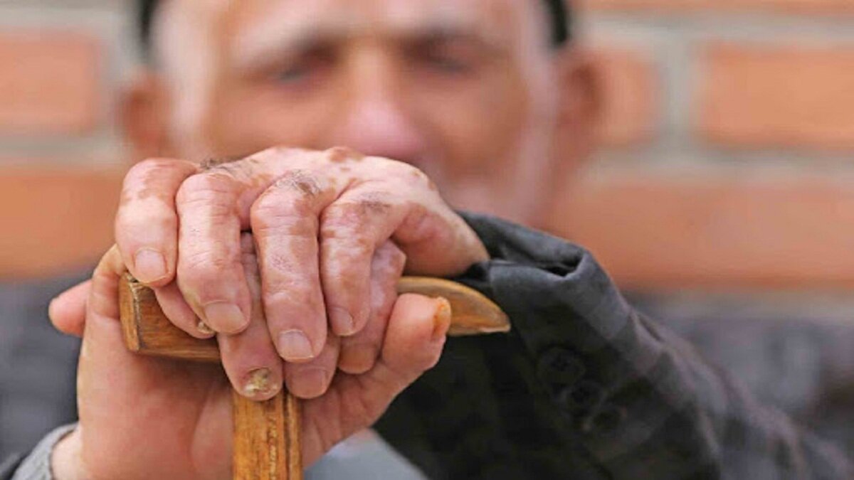 افتتاح مراکز جدید فرآهنگ برای سالمندان در سال آینده - خبرگزاری مهر | اخبار ایران و جهان
