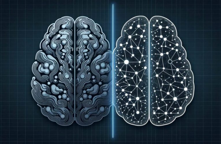 محققان با الهام‌ از مغز انسان، نسل بعدی نیمه‌رسانای هوش مصنوعی را می‌سازند_تاشکن