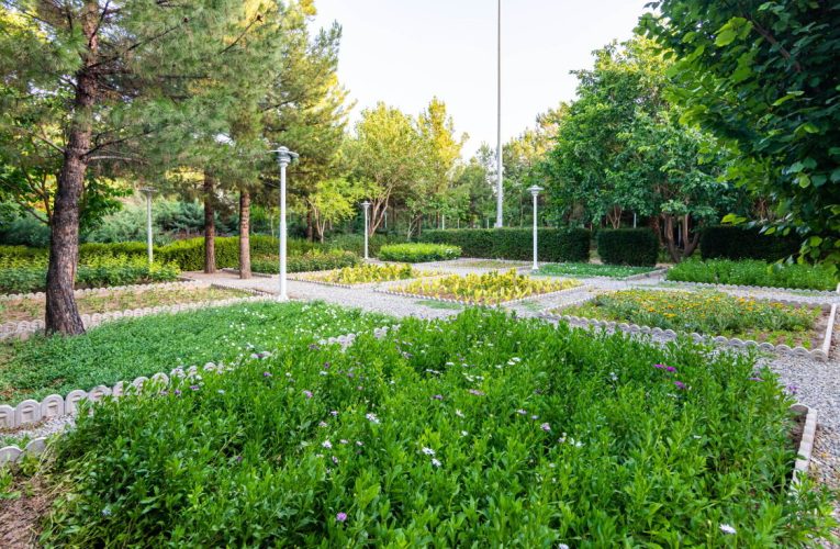 پارک ها و جنگل ها سلامت روان کودکان را تحکیم می کنند – خبرگزاری مهر | اخبار ایران و جهان_تاشکن