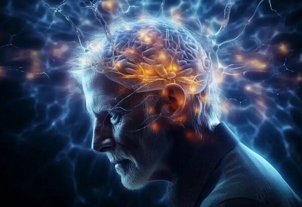 ۳ عامل آسیب پذیری مغز در برابر زوال عقل - خبرگزاری مهر | اخبار ایران و جهان