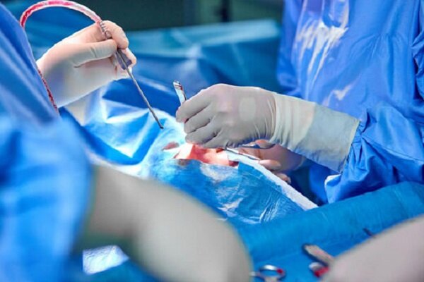 برنامه آموزشی پزشکی عمومی سرفصل «جراحی‏ های زیبایی» ندارد - خبرگزاری مهر | اخبار ایران و جهان