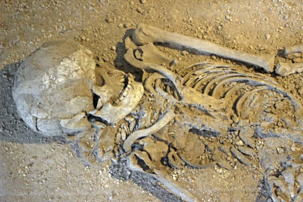 سپس از مرگ چه اتفاقی برای بدن انسان می افتد؟_تاشکن 16 1717736077 925 سپس از مرگ چه اتفاقی برای بدن انسان می افتد؟ تاشکن.webp