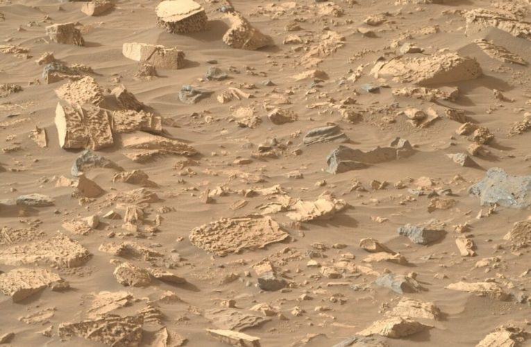 در مریخ سنگ‌هایی همانند به «پاپ‌کورن» کشف شد! + عکس_تاشکن
