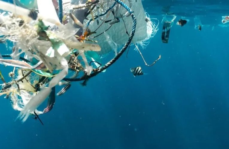 دولت آمریکا پروژه تدریجی حذف پلاستیک‌های یکبار مصرف را اغاز می‌کند_تاشکن