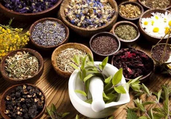 سهم گیاهان در ساخت ۱۲۱ ماده مؤثره دارویی - خبرگزاری مهر | اخبار ایران و جهان