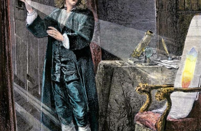 نیوتن مدرک کارشناسی ارشد خود را دریافت کرد_تاشکن