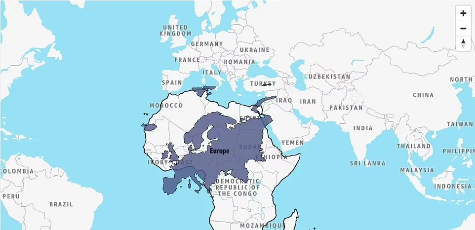 مقایسه ابعاد واقعی کشورها و قاره‌ها با یکدیگر