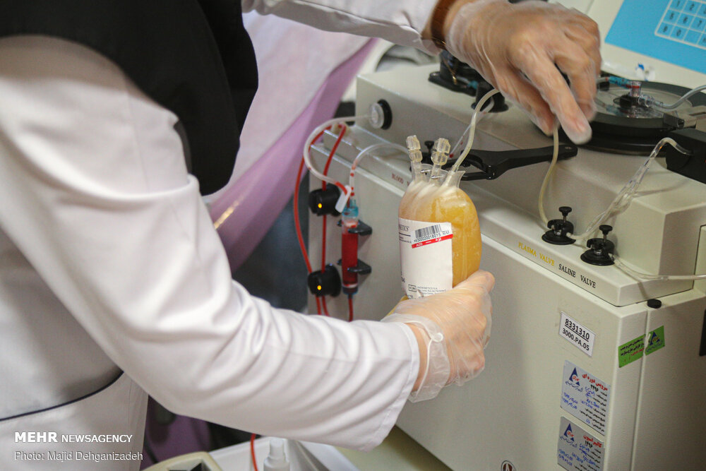 رصد پلاسماهای اهدایی در کشور/ امکان پایش میزان تولید پلاسما - خبرگزاری مهر | اخبار ایران و جهان