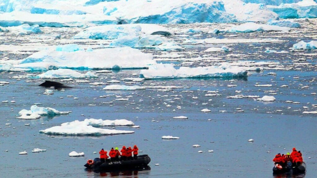 سردترین نقطه جهان کجاست و دمای آن چند درجه است؟_تاشکن 29 سردترین دما بر روی زمین، منفی 98 درجه سانتیگراد است و در فلات شرقی ثبت شده است. این نقطه در قطب جنوب قرار دارد.