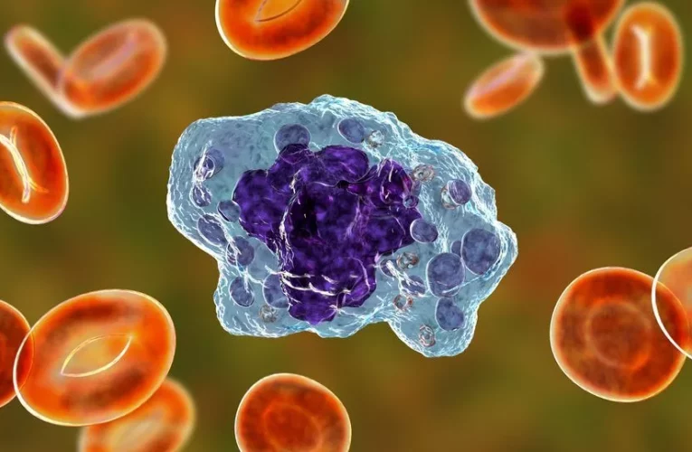 دانشمندان یک سلول تازه کشف کردند که ۱۰۰ سال قبل پیش‌بینی شده بود_تاشکن