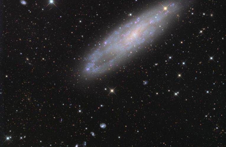 عکس روز ناسا: NGC 247 و دوستانش_تاشکن