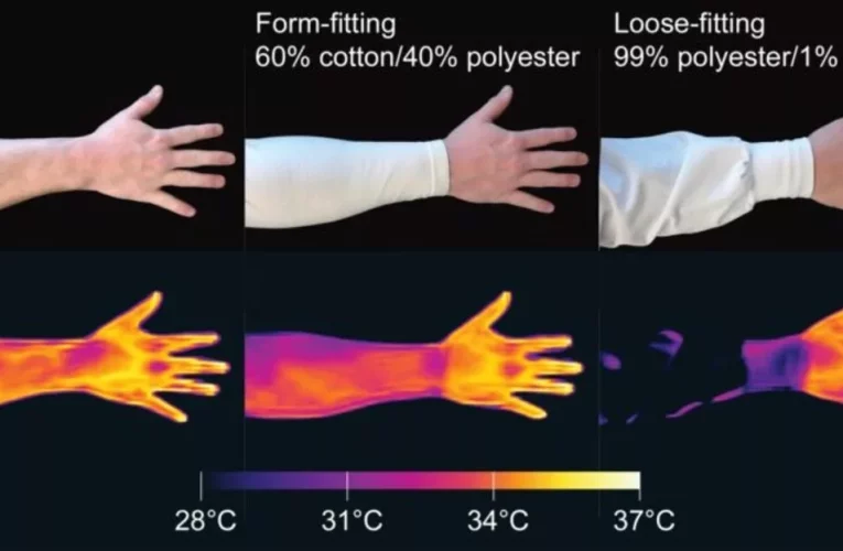پشه‌ها با تشخیص اشعه مادون قرمز طعمه خود را ردیابی می‌کنند_تاشکن