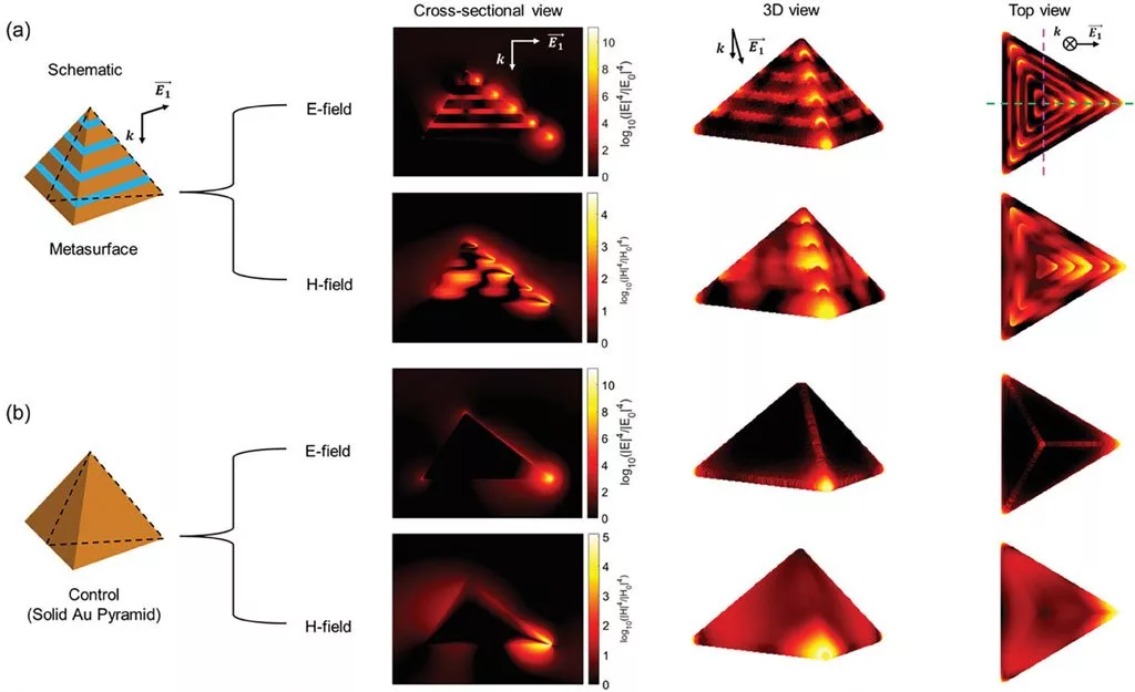 تراشه تشخیص حمله قلبی