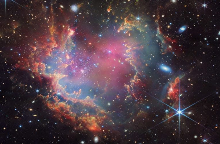 تلسکوپ جیمز وب اولین کوتوله های قهوه‌ای احتمالی خارج از کهکشان ما را شناسایی کرده_تاشکن