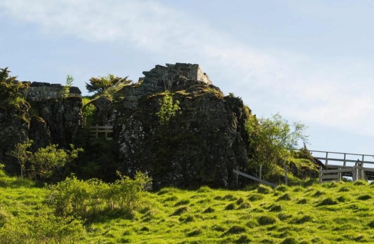 دانشمندان راز شگفت جسد مردی از حماسه‌های نورس را کشف کردند + عکس_تاشکن