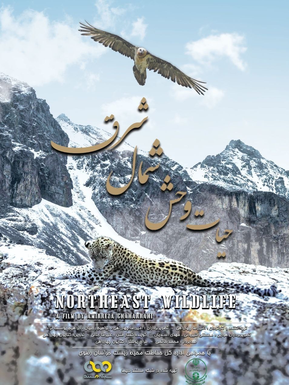 تصاویر مستند و دیدنی از "پلنگ ایرانی" در قلب جهان!_تاشکن 26 مستند , سینما , تلویزیون ,