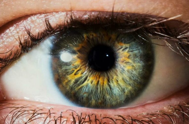 برگشت بینایی به بیماران با اولین درمان سلول بنیادی چشم در جهان_تاشکن