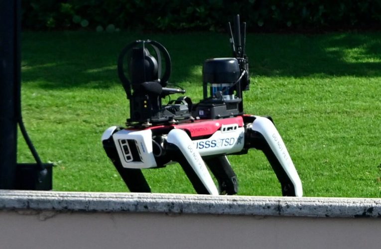 ترامپ با یک سگ رباتیک تیم امنیتی خود را تحکیم می‌کند + ویدیو_تاشکن