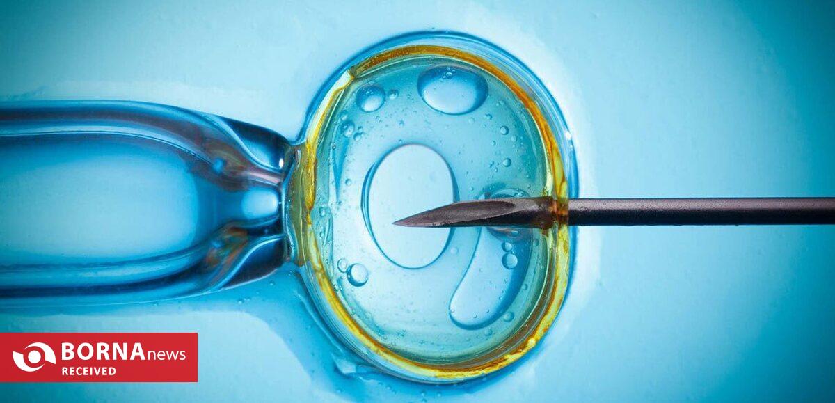 فناوری بومی ایران در خدمت احیای گاو سیستانی از آزمایشگاه تا مزرعه فناوری بومی ایران در خدمت احیای گاو سیستانی از آزمایشگاه تا مزرعه