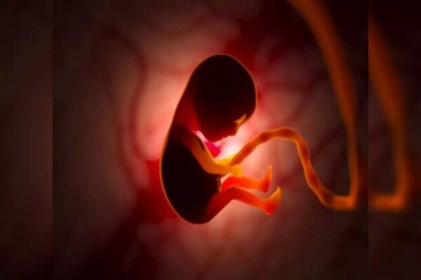 جامعه پزشکی نگران افزایش آمار سقط جنین در کشور است - خبرگزاری مهر | اخبار ایران و جهان