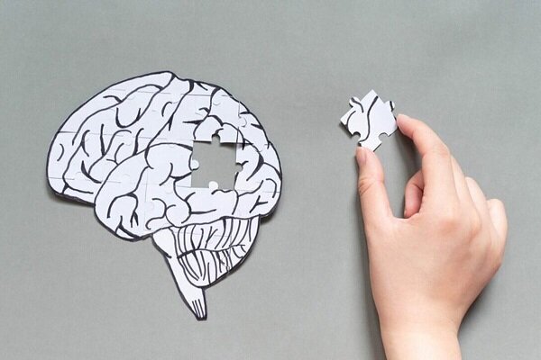 انجمن آلزایمر ایران: آلودگی هوا باعث زوال عقل می‌شود - خبرگزاری مهر | اخبار ایران و جهان