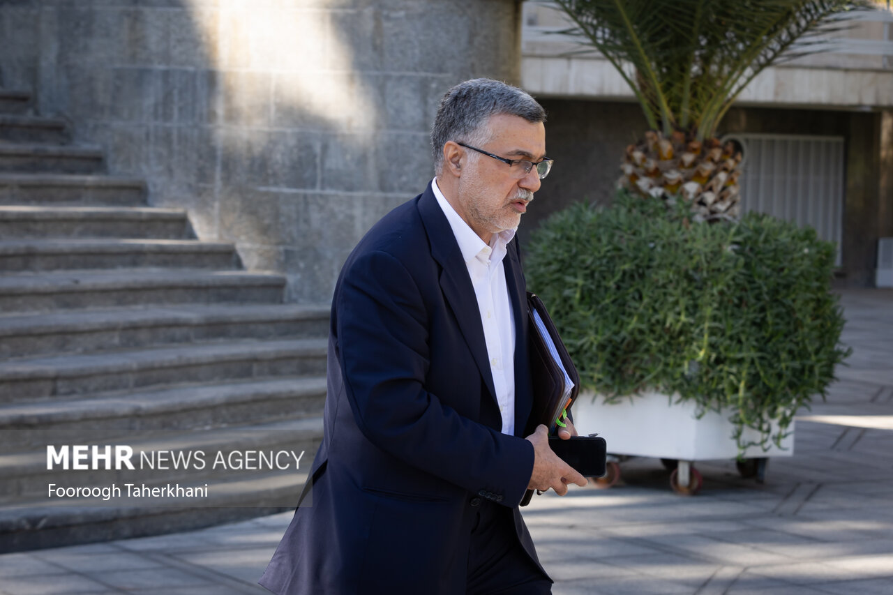 ظفرقندی: نرخ ارز باید در تکلیف بیمه‌ها دیده شود - خبرگزاری مهر | اخبار ایران و جهان