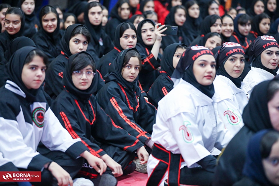 همایش کونگ فو و هنرهای رزمی