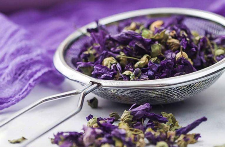 گلی با خواص شفابخشی – خبرگزاری مهر | اخبار ایران و جهان_تاشکن