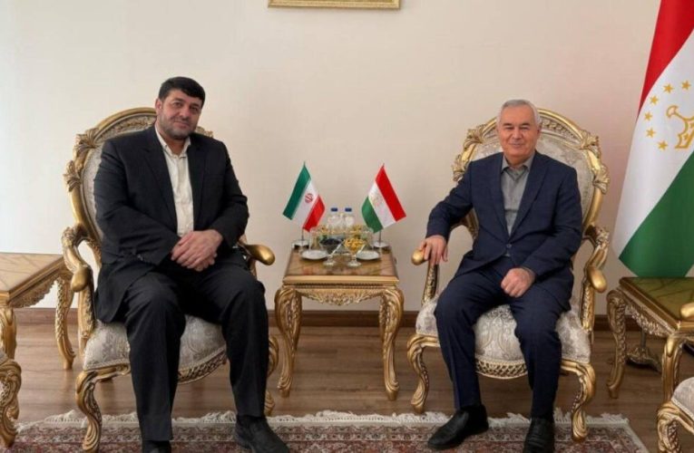 ادامه رایزنی‌ها برای بازگشایی مرکز درمانی هلال‌احمر ایران در تاجیکستان – خبرگزاری مهر | اخبار ایران و جهان_تاشکن
