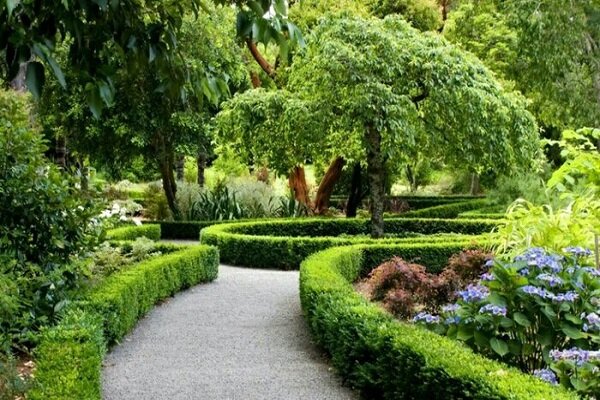 فضای سبز شهری نجات دهنده جان انسان‌های بیشتر - خبرگزاری مهر | اخبار ایران و جهان