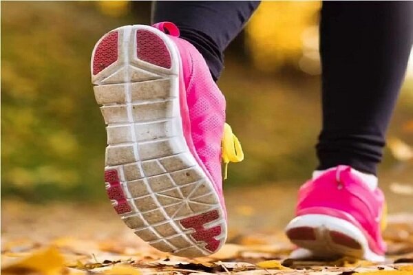 چگونه از پیر شدن مغز خود جلوگیری کنیم؟ - خبرگزاری مهر | اخبار ایران و جهان