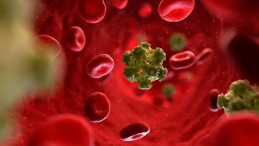 انتقال HPV از استخر و دستشویی عمومی واقعیت دارد؟ - خبرگزاری مهر | اخبار ایران و جهان