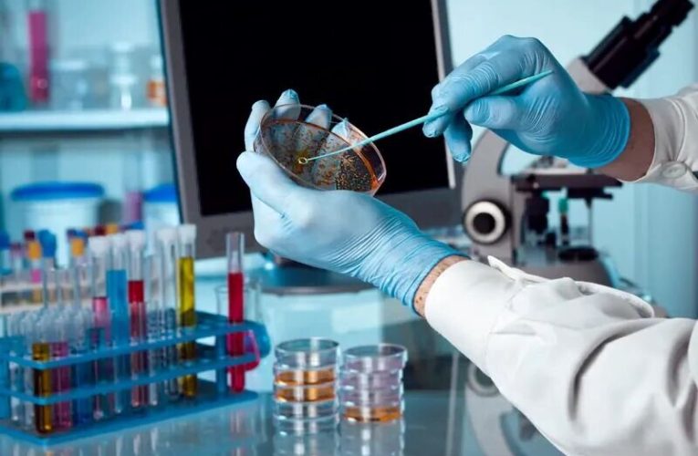 تسهیل مانع ها پیشرفت محققین پژوهشگاه ژنتیک – خبرگزاری مهر | اخبار ایران و جهان_تاشکن