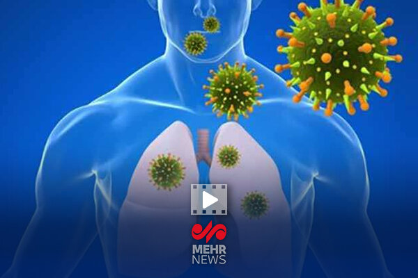 هشدار پاییزی، ویروس های تنفسی در راهند