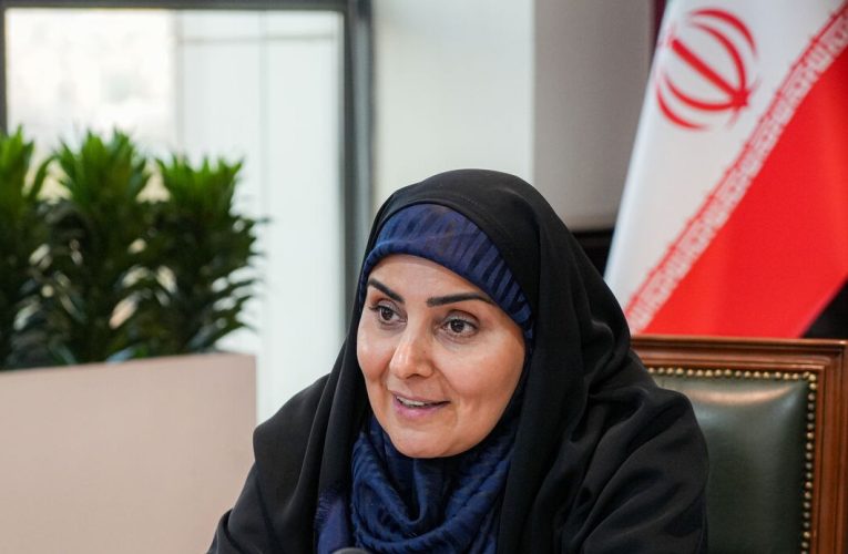 وزیر راه از یک مطرح درمانی در بوشهر بازدید کرد – خبرگزاری مهر | اخبار ایران و جهان_تاشکن