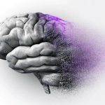 موسیقی به کاهش زوال عقل تا ۴۰ درصد کمک می کند - خبرگزاری مهر | اخبار ایران و جهان